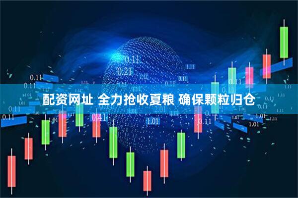 配资网址 全力抢收夏粮 确保颗粒归仓