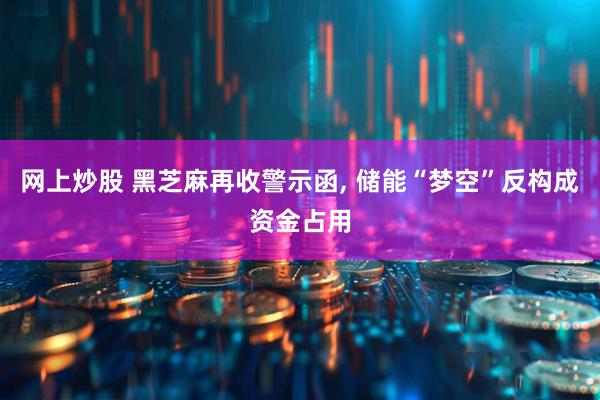 网上炒股 黑芝麻再收警示函, 储能“梦空”反构成资金占用